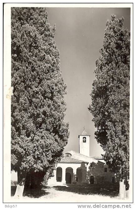 06 - ALPES-MARITIMES - Environs De MOUGINS - Chapelle Notre-Dame De Vie  -  8,9  X 13,7 - Mougins