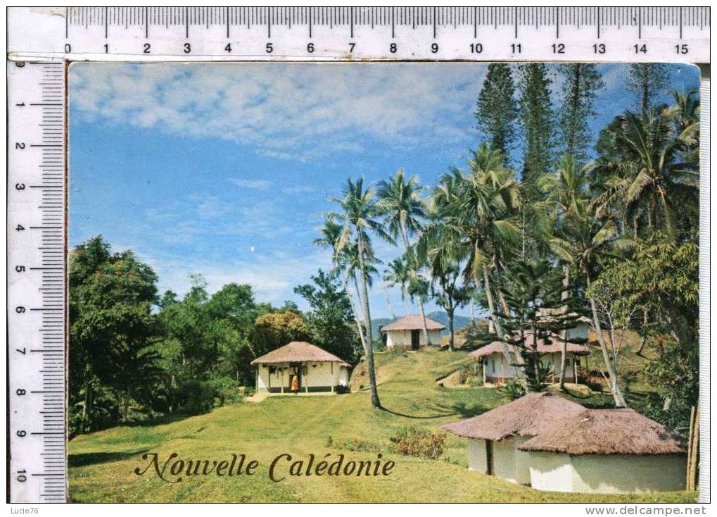 NOUVELLE CALEDONIE  -  Vilage Mélanésien Typique Dsans Le Chaîne Centrale - Nouvelle Calédonie