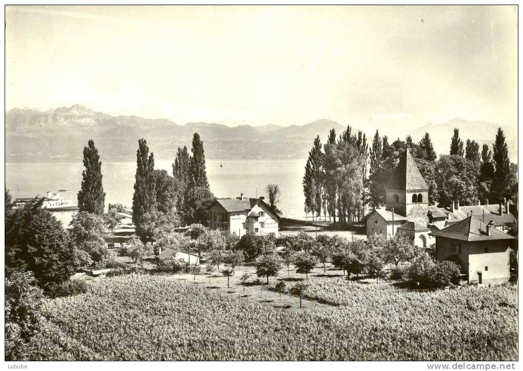 St.Sulpice - Hôtel Du Débarcadère     Ca. 1950 - Saint-Sulpice