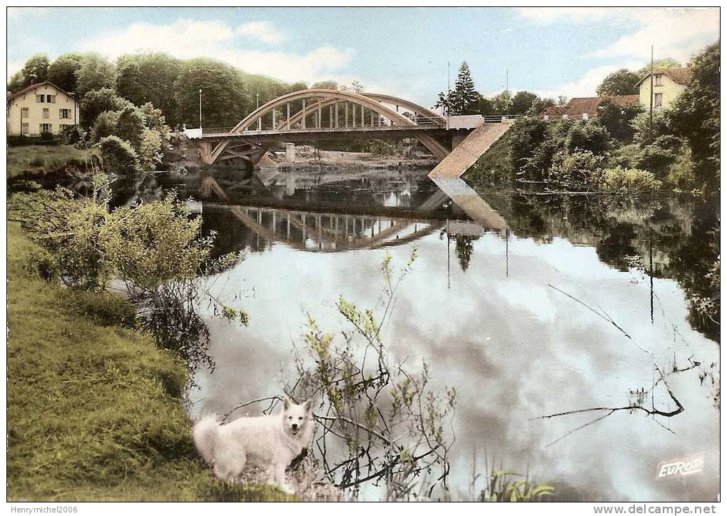 Vosges - Remiremont , Pont Le Prieur Sur La Moselle Et Chien Blanc - Remiremont
