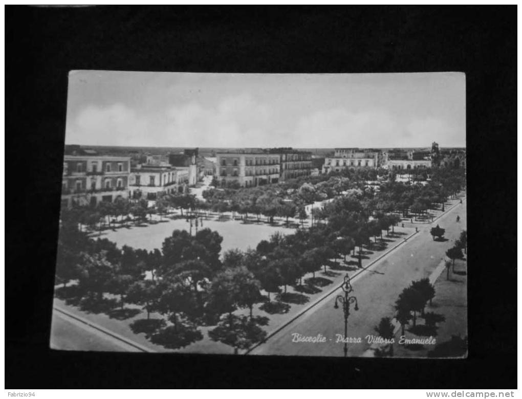 BISCEGLIE PIAZZA VITTORIO EMANUELE  FG - Bisceglie