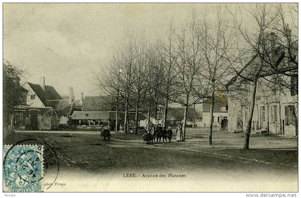 18 . LERE .AVENUE DES PLATANES . - Lere