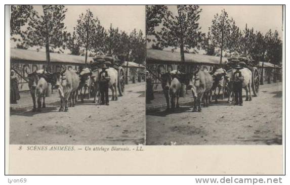 SCENES ANIMEES UN ATTELAGE BEARNAIS LL - Stereoscope Cards