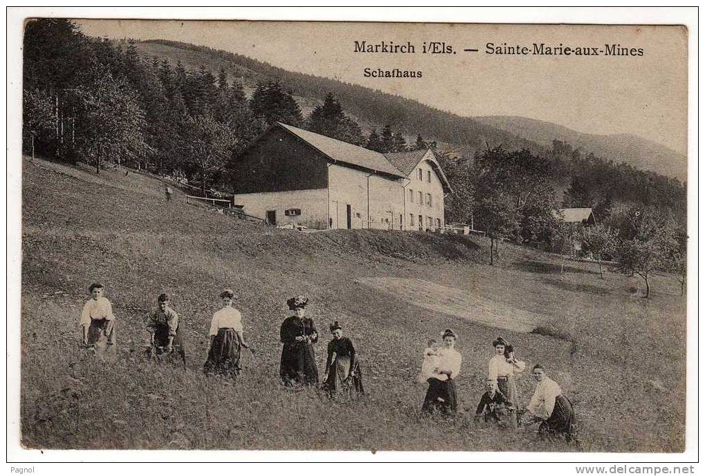 68 : Sainte-Marie-aux-Mines : Schafhaus - Sainte-Marie-aux-Mines