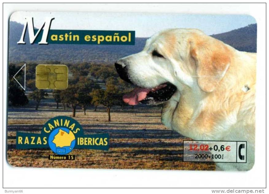 MOBICARTE RAZAS CANINAS IBERICAS 15 MASTIN ESPANOL CHIEN - Collections