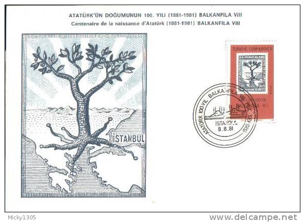 Türkei / Turkey - Maxicard (016) - Cartoline Maximum