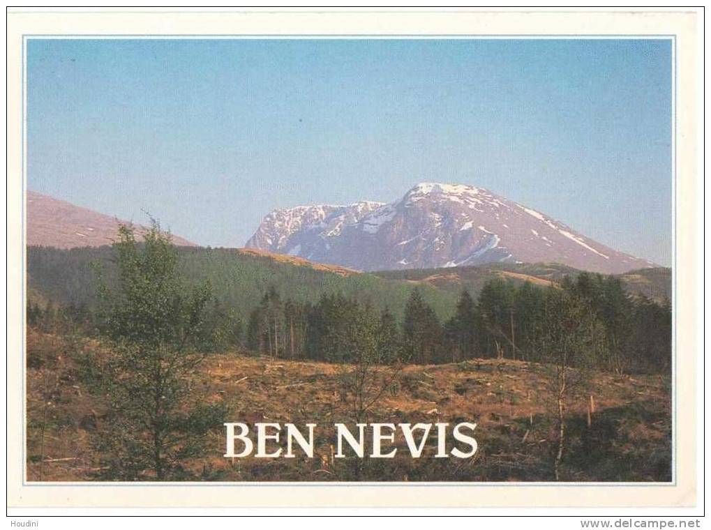 Ben Nevis From Leanachan Forest - Inverness-shire