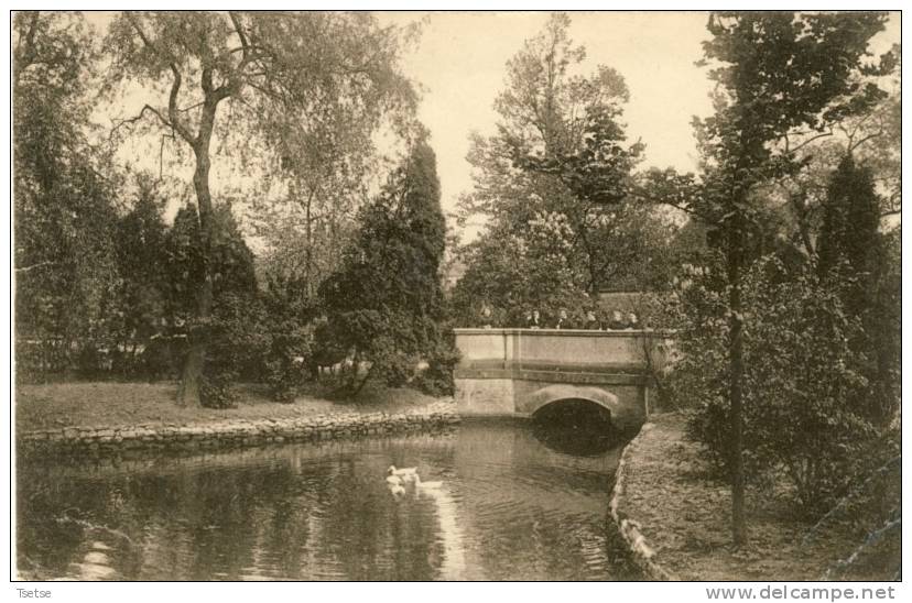 Erps-Querbs - Pensionnat Des Religieuses Servantes De Marie  - Vue Du Jardin  - 1912 - Kortenberg