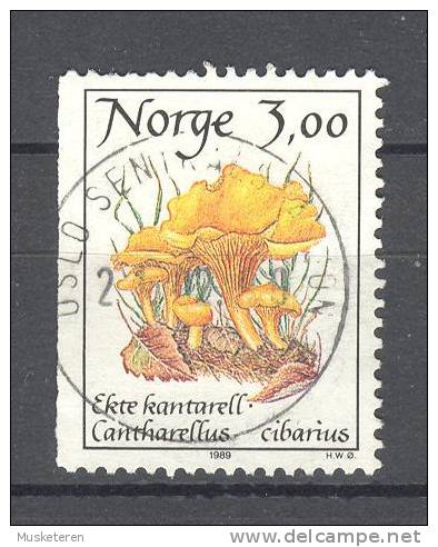 Norway 1989 Mi. 1012   3.00 Pilze Mushrooms Pfifferling Kantarell Deluxe Cancel !! - Oblitérés