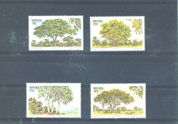 VENDA - 1984 Trees UM - Venda