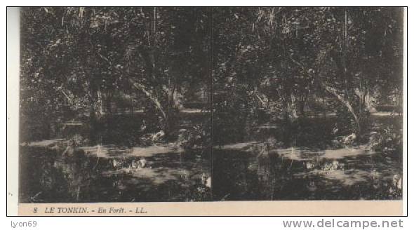 8   LE TONKIN  EN FORET LL - Stereoscope Cards