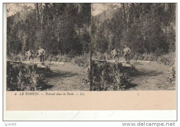 4   LE TONKIN  TRAVAIL DANS LA FORET LL - Stereoscope Cards