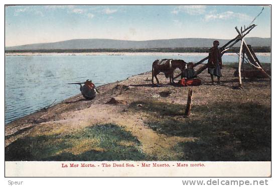 The Dead Sea. Men And Donkey, Early 1900's - Palestine