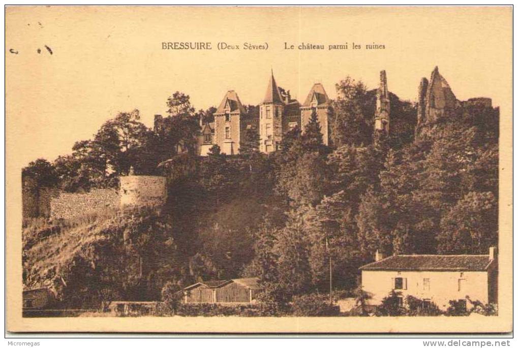 BRESSUIRE - Le Château Parmi Les Ruines - Bressuire