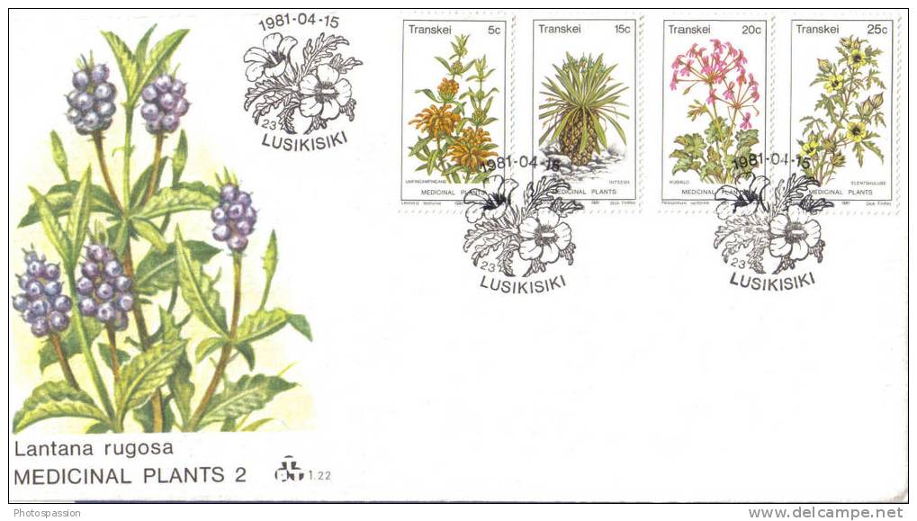 TRANSKEI - FDC " Flores - Plantes Médicinales " - 1981 - Fleurs - Transkei