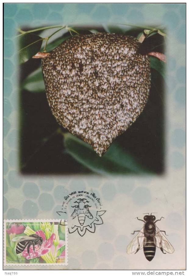 Beehive, Honeybee, Insect, Maximcard, Thailand - Abeilles