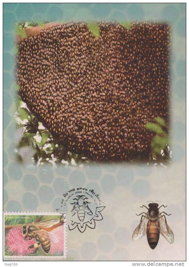 Beehive, Honeybee, Insect, Maximcard, Thailand - Abeilles