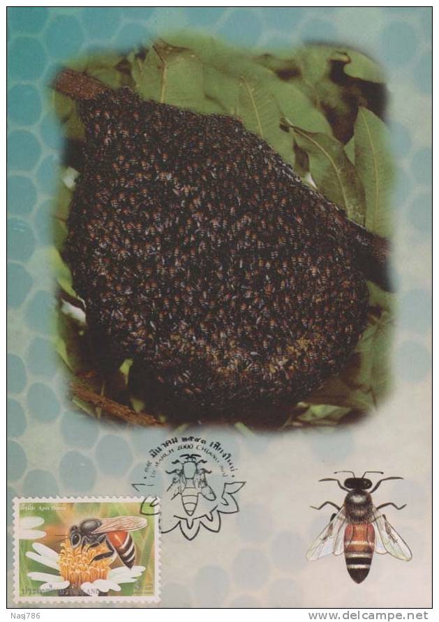 Beehive, Honeybee, Insect, Maximcard, Thailand - Bienen