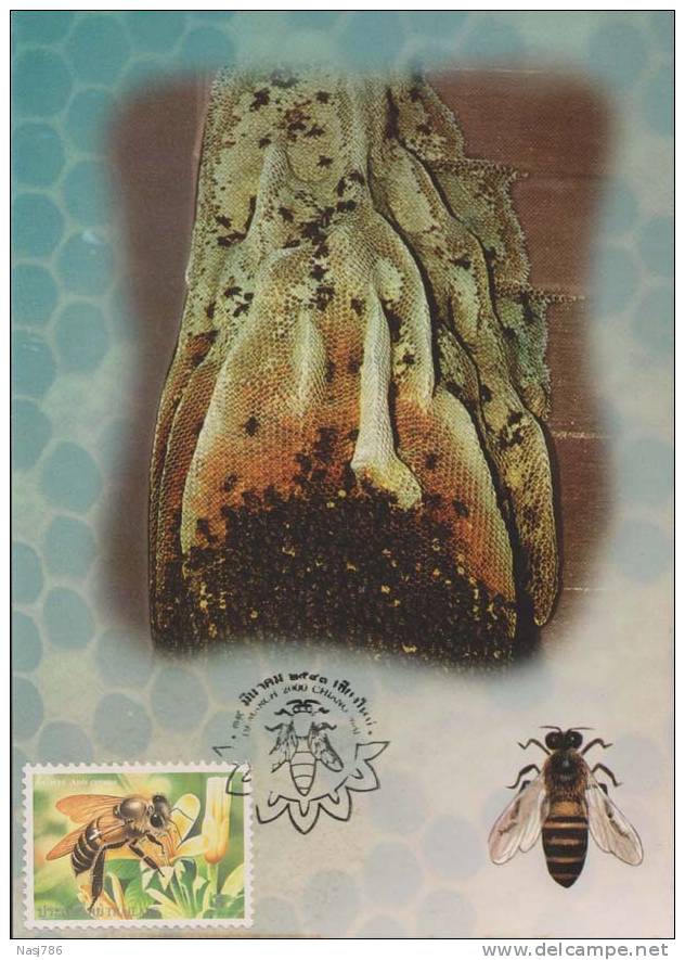 Beehive, Honeybee, Insect, Maximcard, Thailand - Honingbijen
