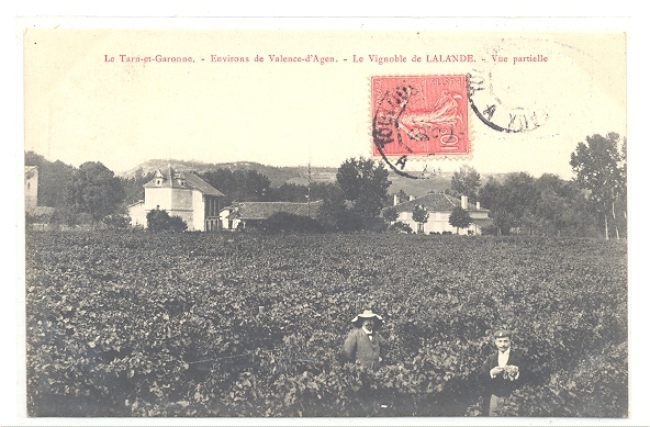 82 // Vignoble De LALANDE, Vue Partielle, Environs De Valence D'Agen - Albias