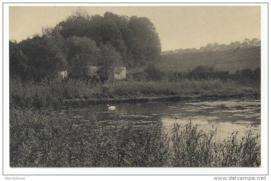 Auderghem - Oudergem (Bruxelles - Brussel). Forêt De Soignes. Derrière Le Rouge-Cloître. Zoniënbos. Achter Rood-klooster - Auderghem - Oudergem