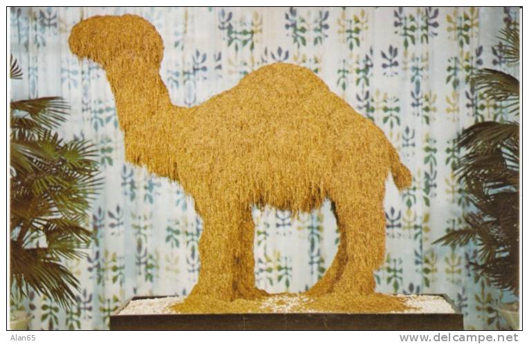 Old Joe Camel, Sculpture Made From Tobacco, Whitaker Plant Makes Camel Cigarettes RJ Reynolds Co. Winston-Salem NC - Winston Salem
