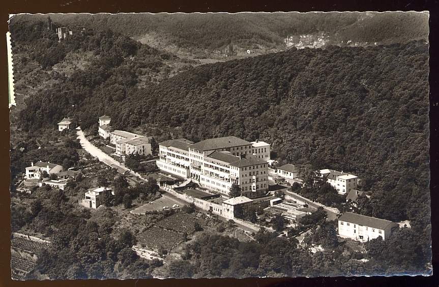 CPSM Allemagne  BAD DÜRKHEIM An Der Deutschen Weinstrasse/Pfalz Sonnenwende - Bad Duerkheim