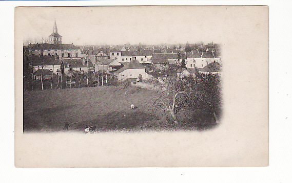 CARTE  1900 LOUE - PANORAMA (collection Adolphe Renard ) - Loue