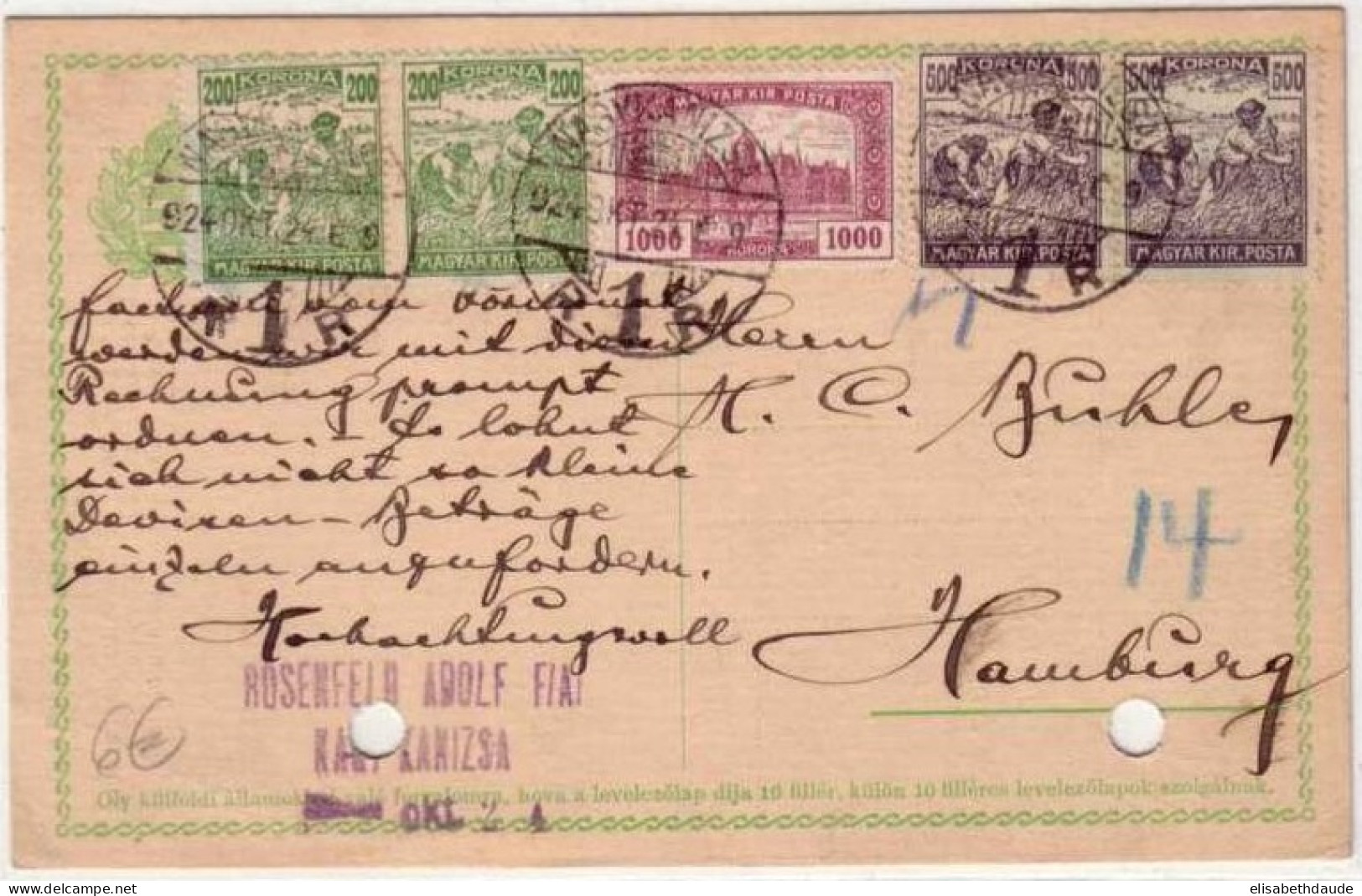 HONGRIE - CARTE ENTIER POSTAL REPIQUE Réutilisée Comme Simple Carte (INFLATION) Pour L'ALLEMAGNE (HAMBOURG) - 1924 - - Entiers Postaux