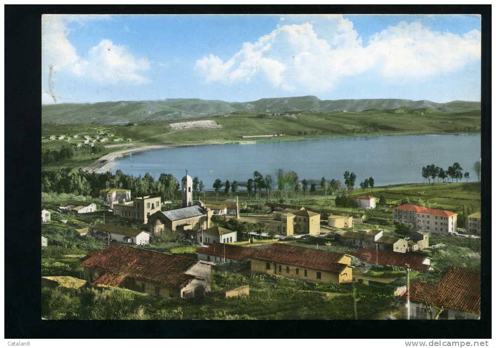 S2234 CARTOLINA POSTALE SICILIA ENNA LAGO PERGUSA FG. V. - Enna