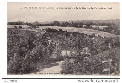 Mervent  - L'Observatoire De La Grotte Du P. Montfort : Achat Imédiat - Chantonnay