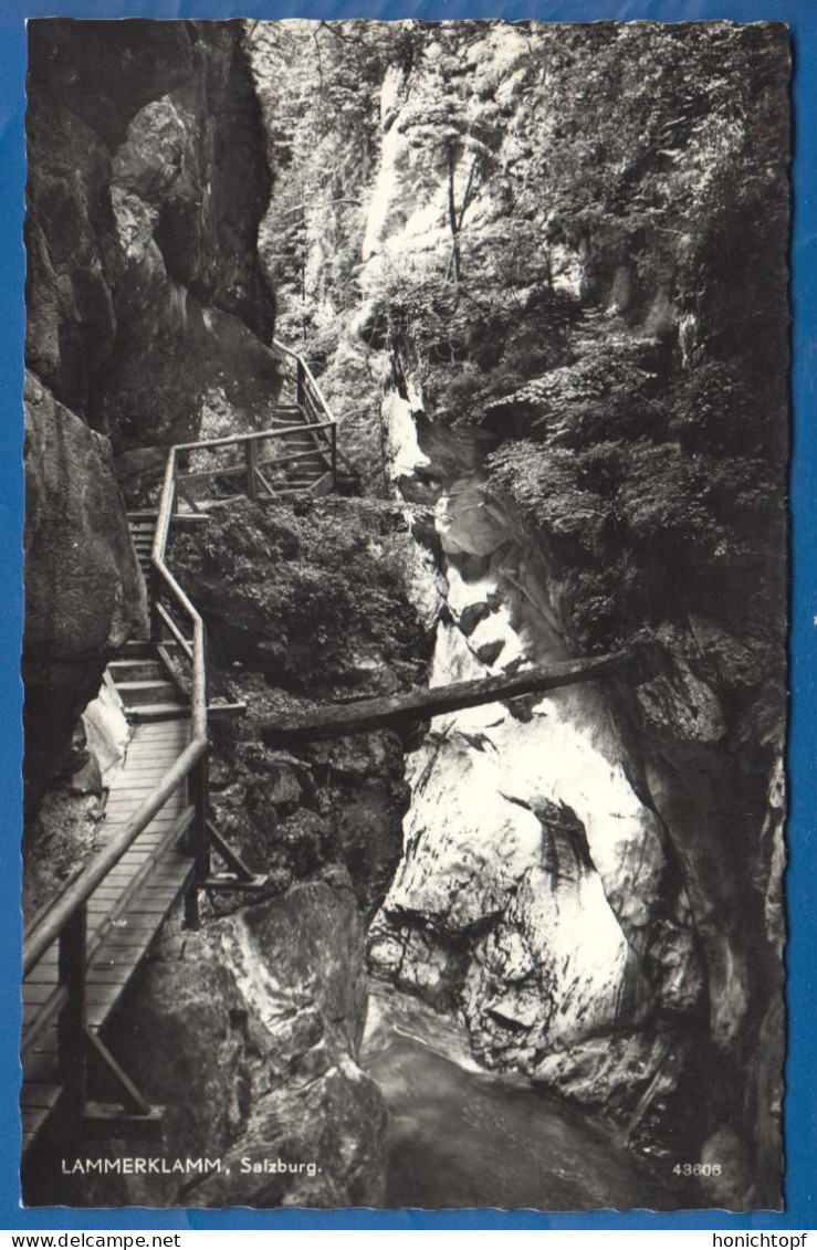 Österreich; Lammerklamm; Lammeröfen; Scheffau Bei Golling; Salzburg; Alpen; Bergen - Golling