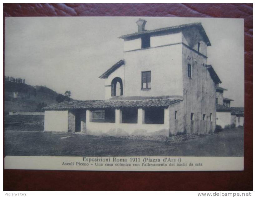 Roma - Esposizioni Roma 1911 (Piazza D´Armi): Ascoli Piceno - Una Casa Colonica Con L´allevamenti Dei Bachi Da Seta - Exhibitions