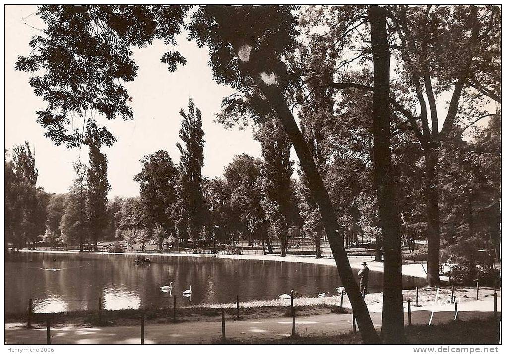 Val De Marne - Vincennes , Le Bois Lac De St Mandé Cygnes, Ed Yvon - Vincennes