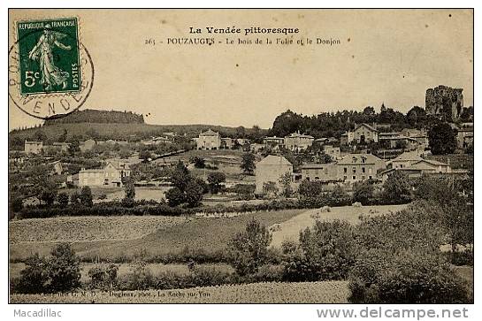 265 - POUZAUGES - Le Bois De La Folie Et Le Donjon - Pouzauges