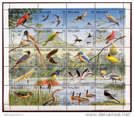 Malawi 598 Mint Never Hinged Beautiful Sheet Of 20 Birds From 1992 - Collections, Lots & Series