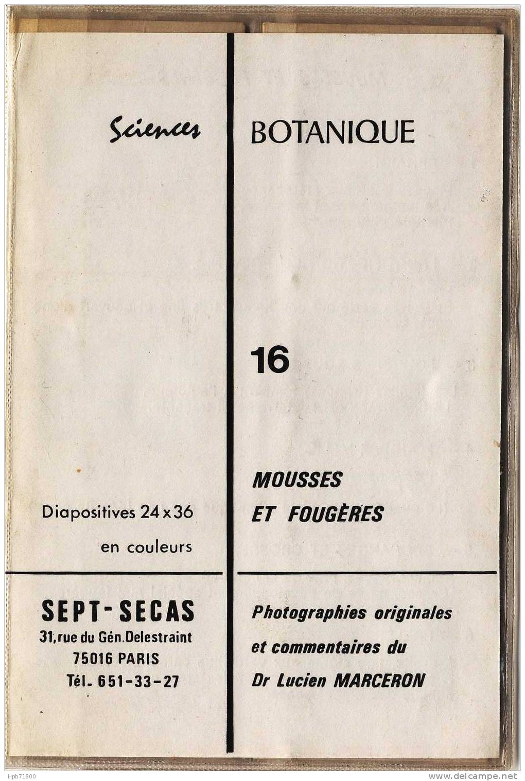 Botanique - Mousses Et Fougères - Série Complète De 6 Diapositives Avec Notice Explicative - Lesekarten