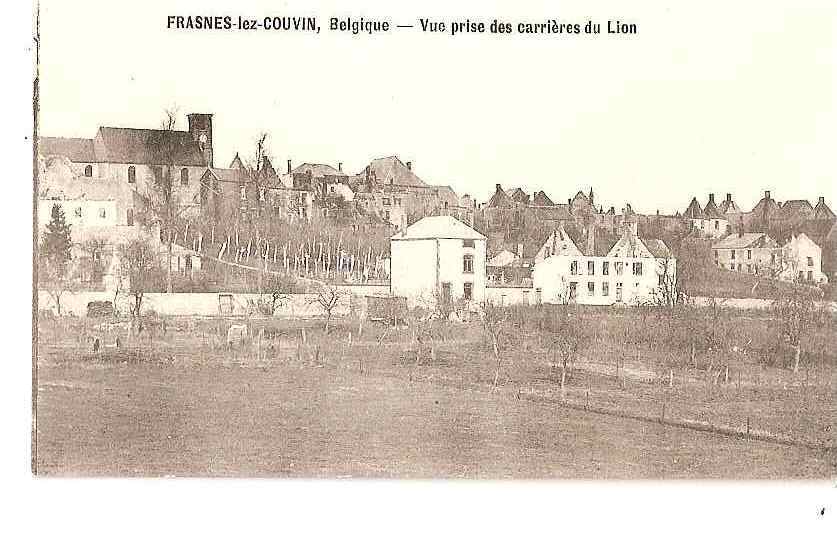 FRASNES LEZ COUVIN VUE PRISE DES CARRIERES DU LION  REF 18253 - Couvin