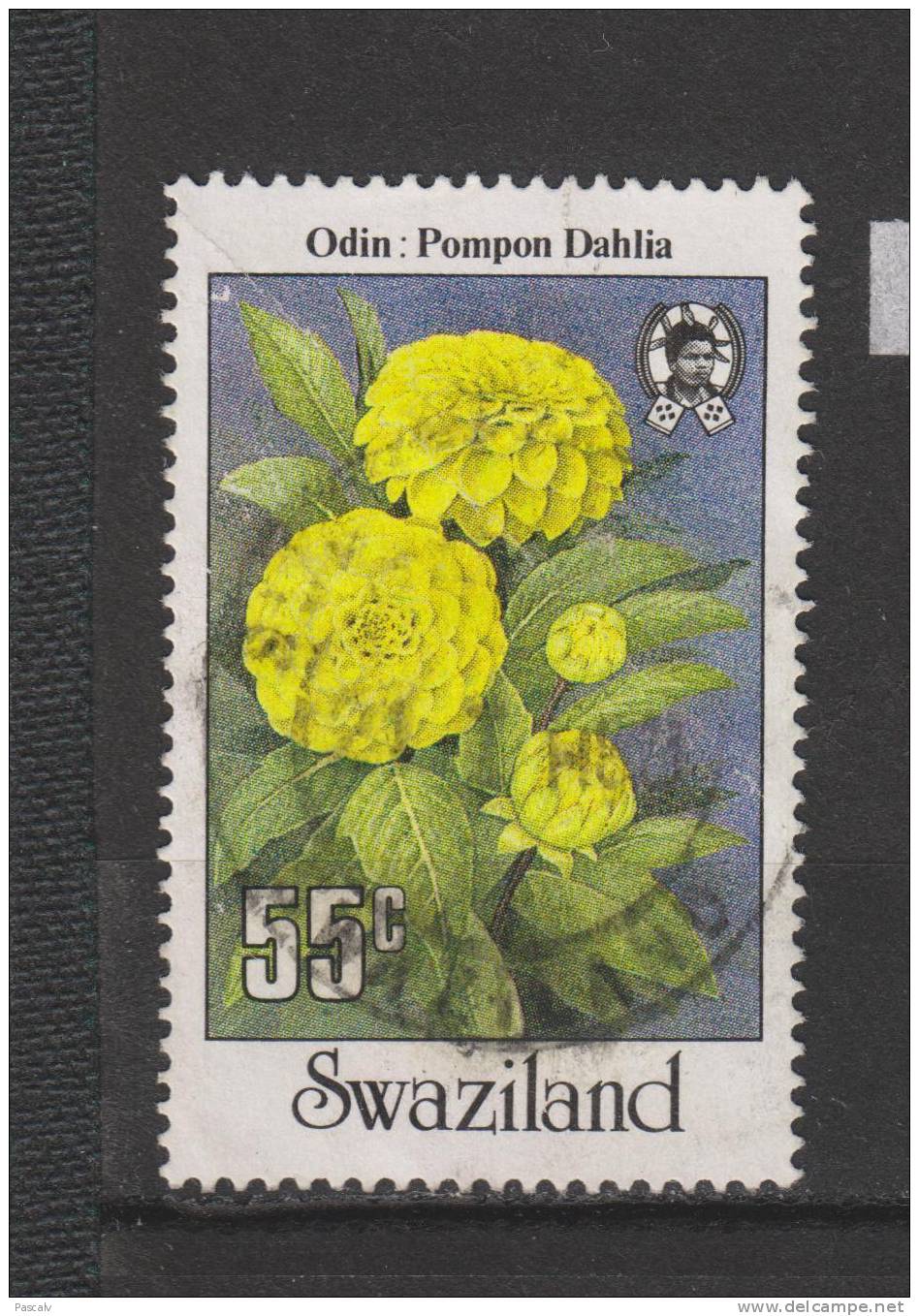 Yvert 531 Oblitéré Fleur Dahlia - Swaziland (1968-...)