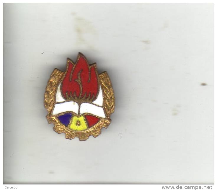 Romania Pioneer Organisation - Communist Badge - Amministrazioni