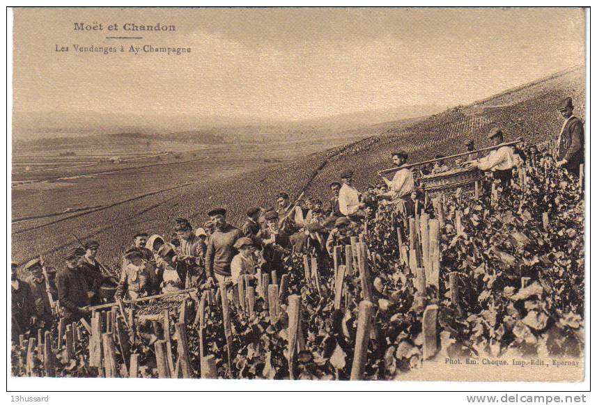 Carte Postale Ancienne Ay En Champagne - Moët Et Chandon. Les Vendanges - Viticulture - Ay En Champagne