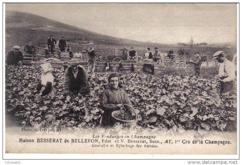 Carte Postale Ancienne Ay En Champagne - Maison Besserat De Bellefon. Cueillette Et Epluchage Des Raisins - Vendanges - Ay En Champagne