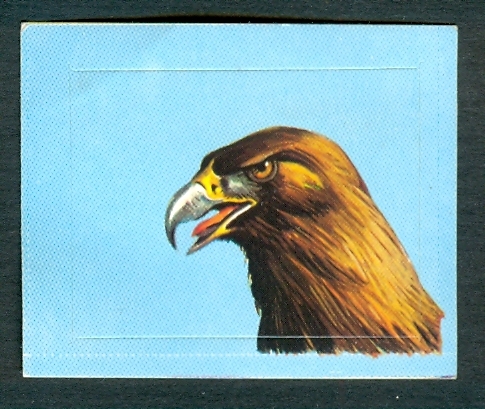 Autocollant : AIGLE (N°257), Editions BOBIER, Oiseaux - Autocollants