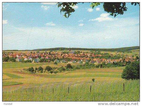 D-64743 Beerfelden Im Odenwald - Panorama - Odenwald