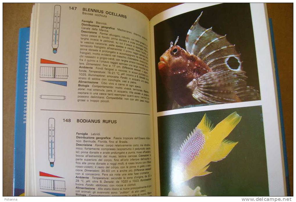 PDC/24 ACQUARIO Mondadori 1985/pesci Acqua Dolce/rettili/anfibi/invertebrati - Pets