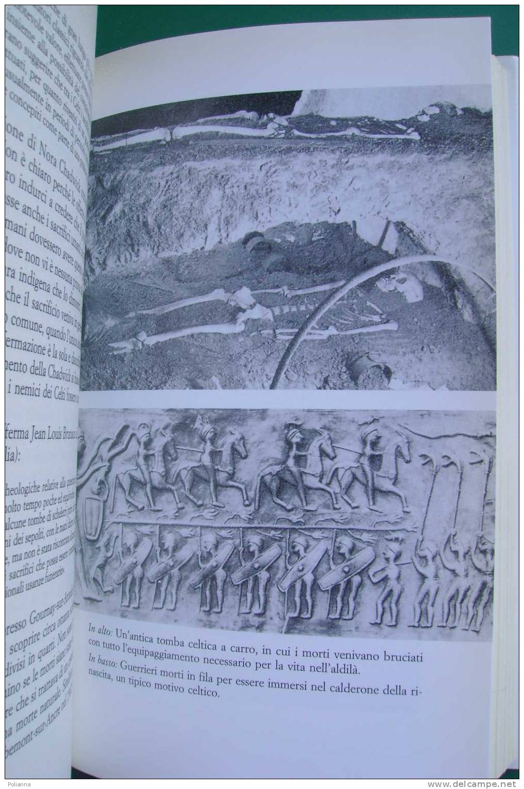 PDC/31 Berresford Ellis IL SEGRETO DEI DRUIDI Piemme I^ed.1997/sciamani Itineranti Nell'Europa Pre-cristiana - History, Biography, Philosophy