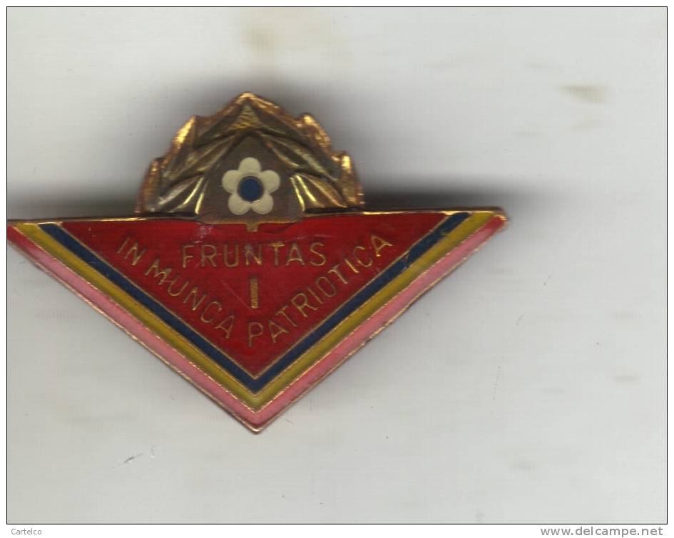 Romania Pioneer Badge - Leading Pioneer In Patriotic Work 1st Class - Andere & Zonder Classificatie