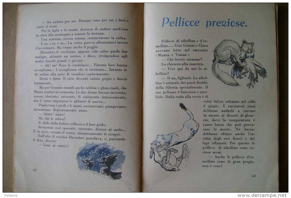 PDC/48 Nonno Pazienza (Giovanni Bitelli) LA STRADA PIU' BELLA Ed.Gambino 1949/illustrazioni E.Sacchi - Antichi