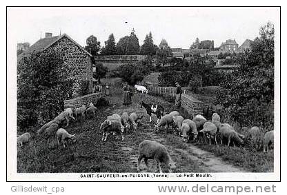 - ST SAUVEUR En PUISAYE - Le Petit Moulin - Moulin à Eaux - Moutons - Chèvre - Saint Sauveur En Puisaye