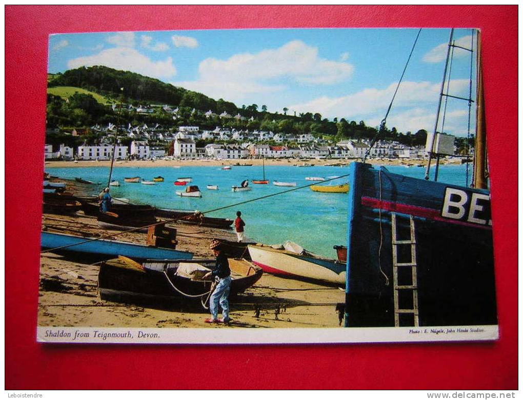 CPSM OU CPM -ANGLETERRE-SHALDON FROM ,TEIGNMOUTH,DEVON-ANIMEE -NON VOYAGEE - PHOTO RECTO /VERSO- - Other & Unclassified